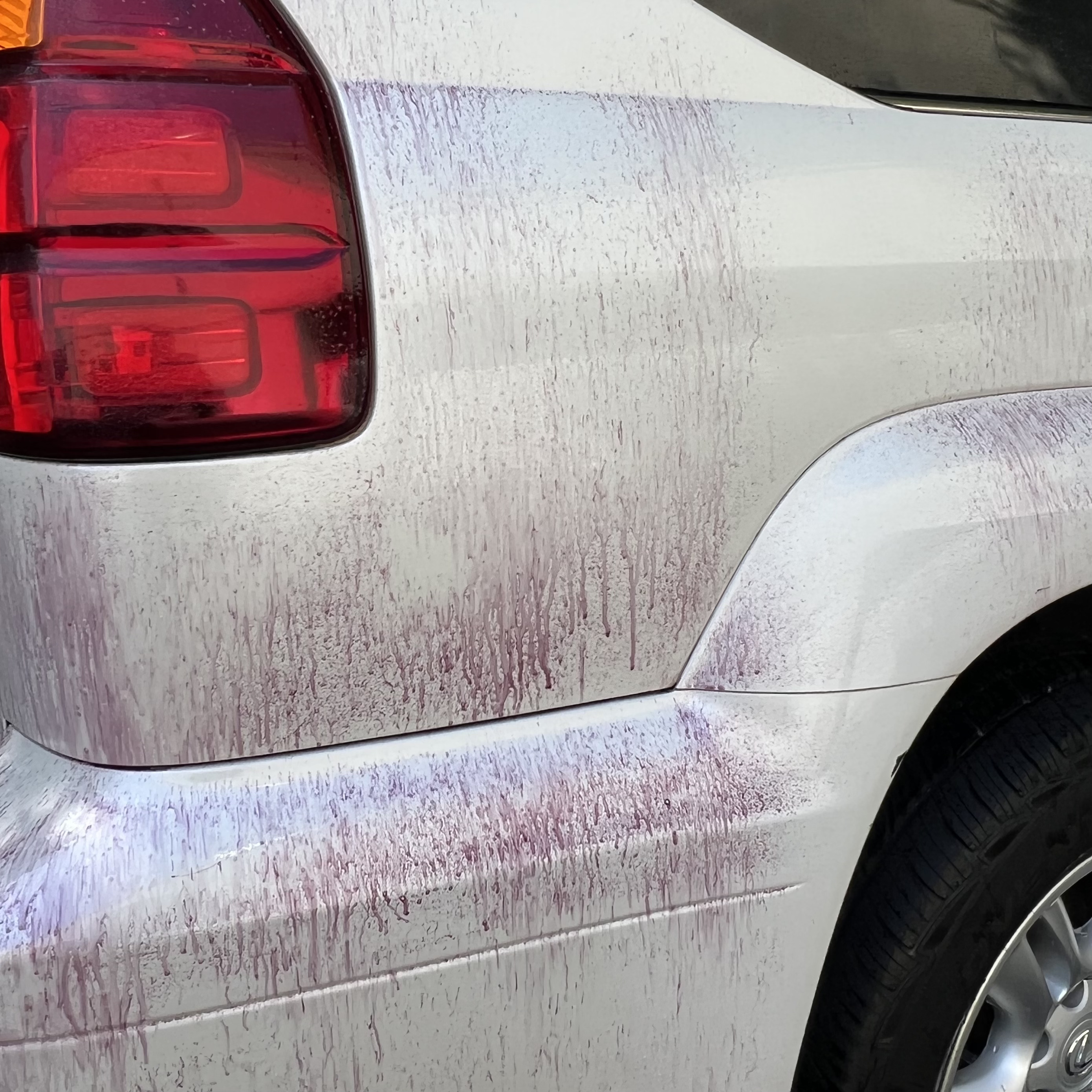 Exterior iron decontamination detail